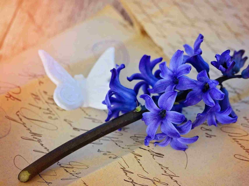 Handlettering für Einsteiger